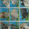 The Osbournes 72 card set in 9-pocket sheets - 2002 Inkworks - Image 6