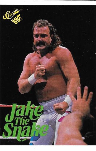 1990 Classic WWF Jake The Snake Roberts