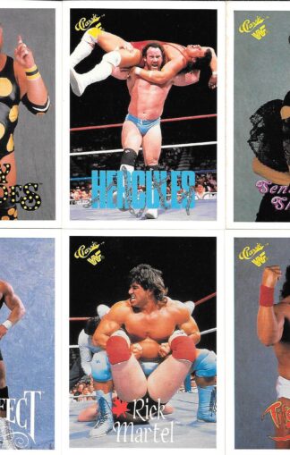 1990 Classic WWF #16-24