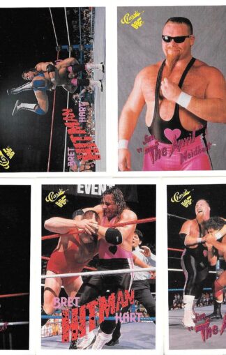 1990 Classic WWF Hart Foundation