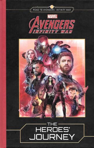 Avengers Infinity War - The Heroes Journey