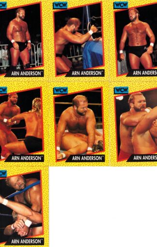 Arn Anderson Cards