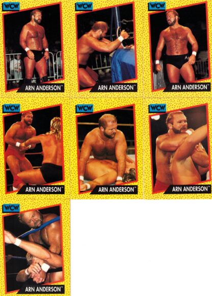 Arn Anderson Cards