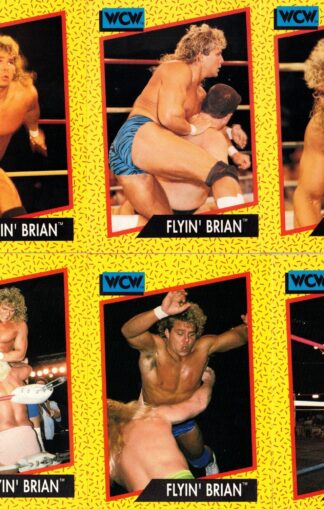 Brian Pillman Cards