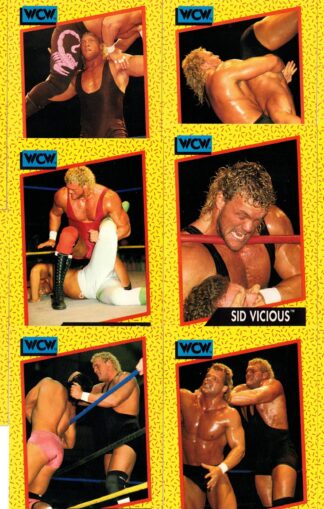 Sid Vicious Cards