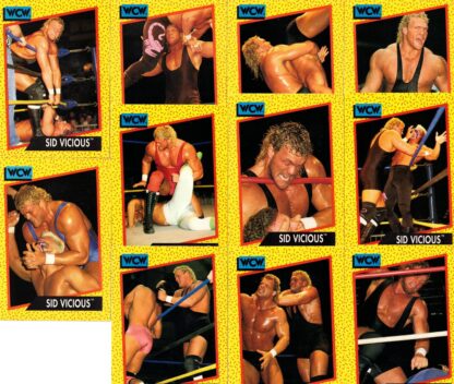 Sid Vicious Cards