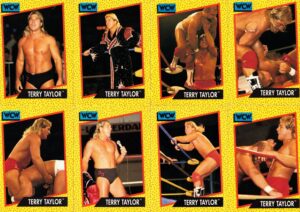 Terry Taylor Cards