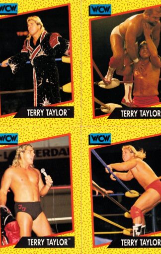 Terry Taylor Cards