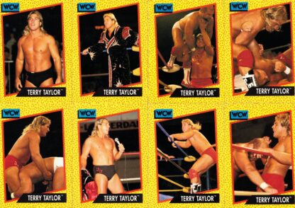 Terry Taylor Cards