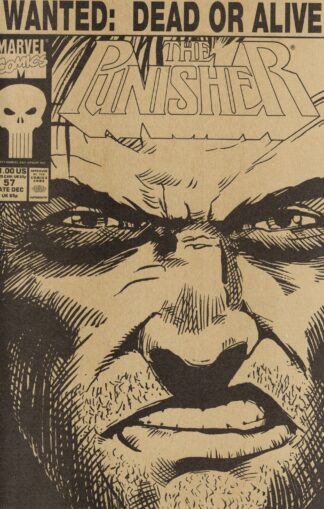Punisher 2nd Series #057