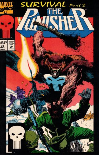 Punisher 2nd Series #078